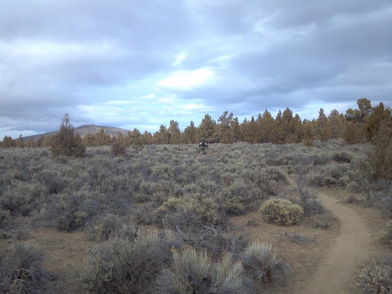 Cline Butte