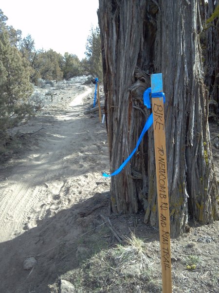 Canyon rim trail intersection and signage.