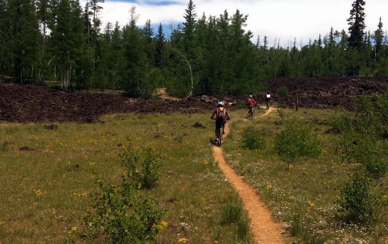 Out of the woods and through the meadow to lava fields we go.....