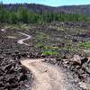 The east side lava flow at Navajo Lake