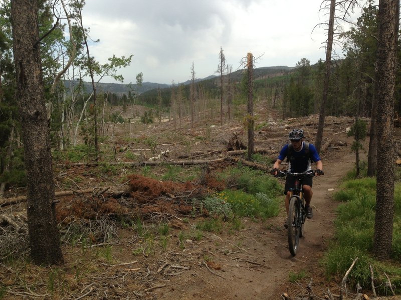 Lookout trail climbs through the edge of the deforested area - deep forest is now wide open.