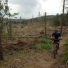 Lookout trail climbs through the edge of the deforested area - deep forest is now wide open.