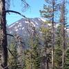 Mt Bachelor showing itself