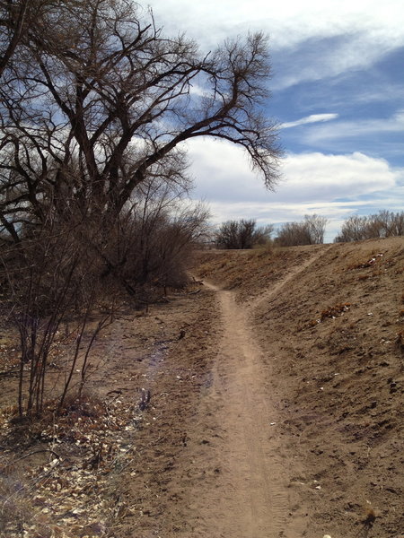 Looking back on the start of the singletrack.