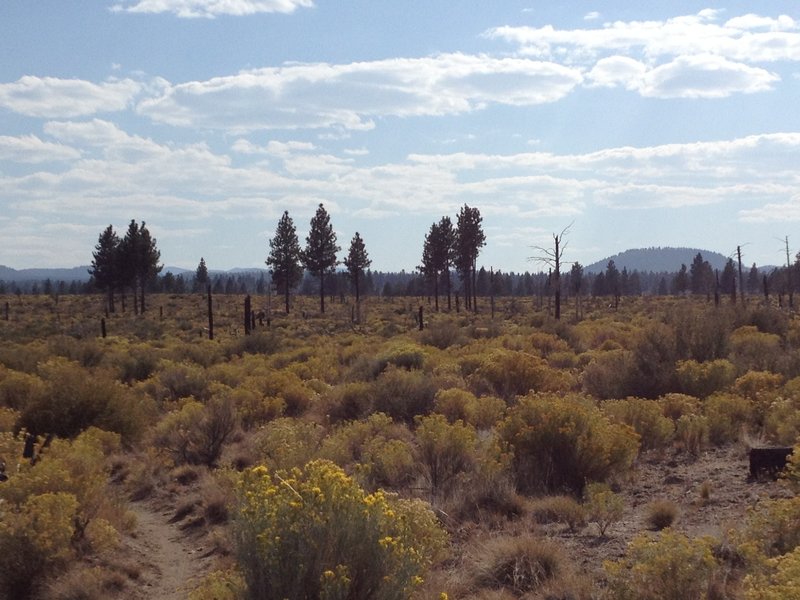 Lava dome in the distance.