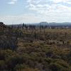 Evidence of past lava flows in the distance.