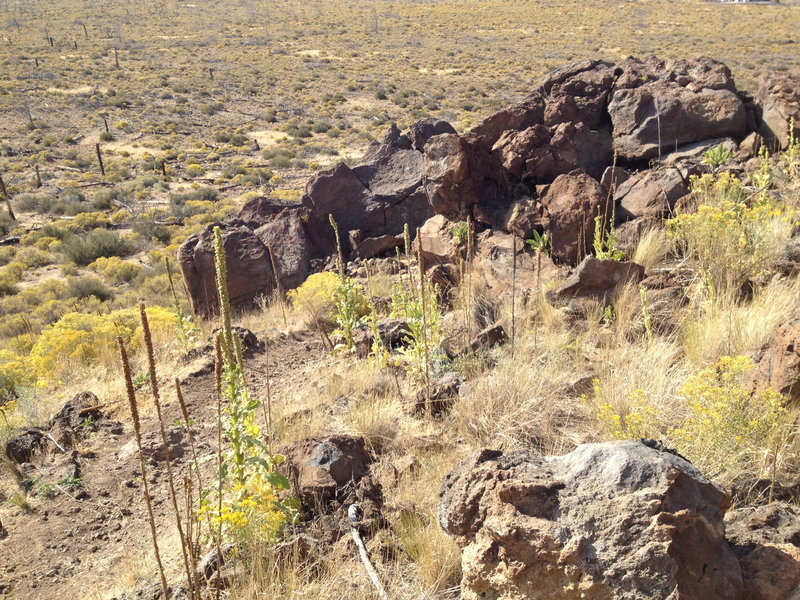 The one rocky, technical section.