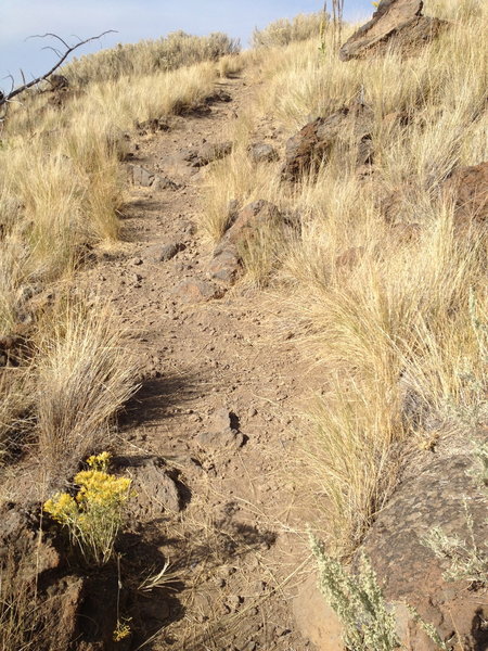 Mostly smooth trail on Horse Butte ride, except for this short section.