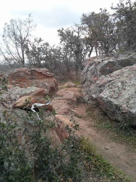 Lots of tech granite trails