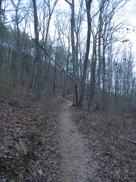 Descent from Horn Mountain to Snake Creek Gap Trailhead.