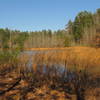 Pilcher's Pond