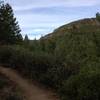 Smooth trail overlooking Tumalo Creek