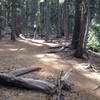 Trail along the creek