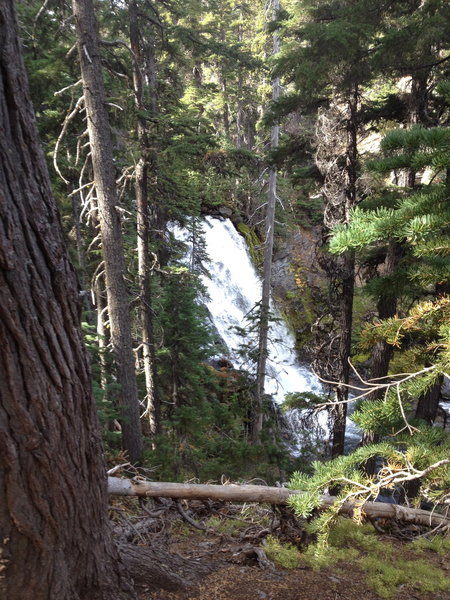 A lot, a lot of waterfalls along the trail