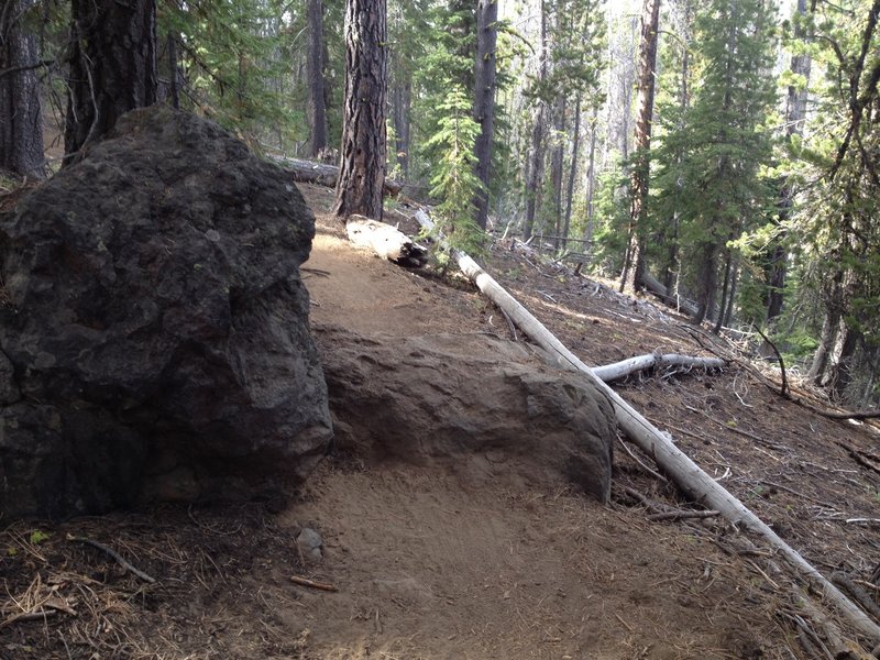 One big rock in the trail