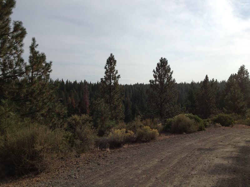 Nearing Shevlin Park.