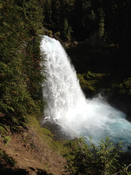 Just another gorgeous view from the trail