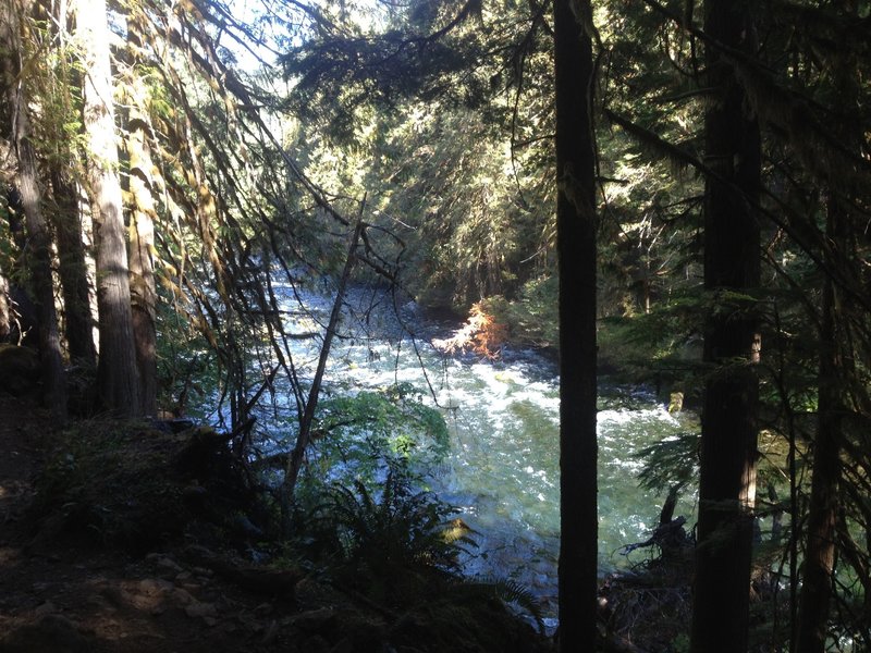 The very cold McKenzie River raging by.