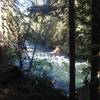 The very cold McKenzie River raging by.