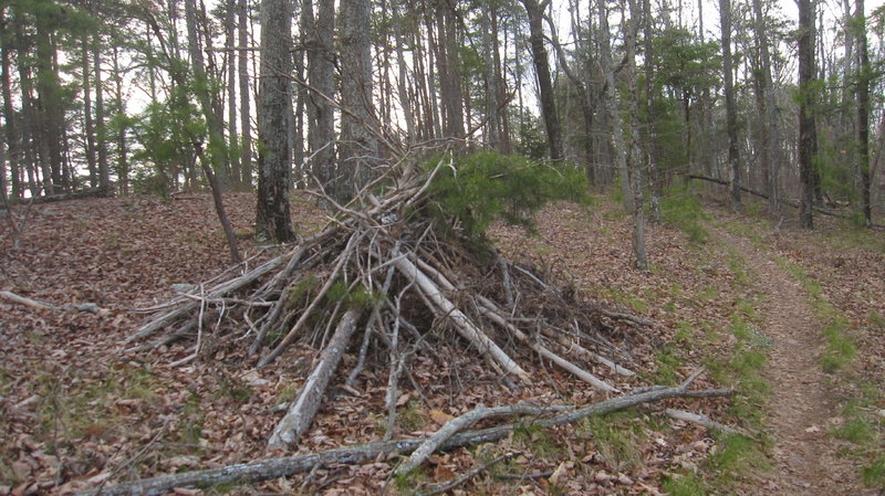 Turkey Blind close to entrance to singletrack from FS207A.