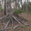 Turkey Blind close to entrance to singletrack from FS207A.