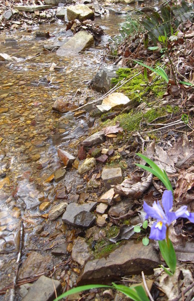 Creek crossing after descending from Hurricane Mtn.