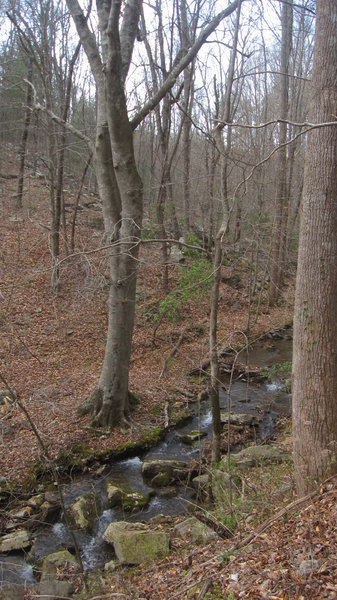 Stover Creek