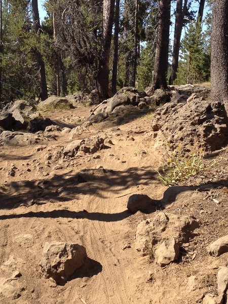 Small lava fields throughout