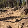 Small lava fields throughout