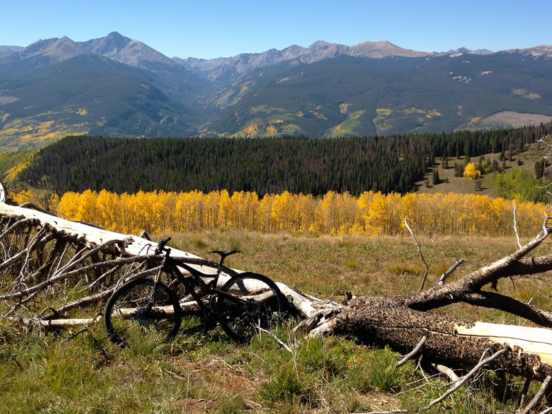 The top of Cougar Ridge is mellow... and beautiful!