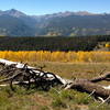 The top of Cougar Ridge is mellow... and beautiful!