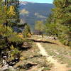 the last bit of easy trail before the descent turns considerably steeper and rockier.