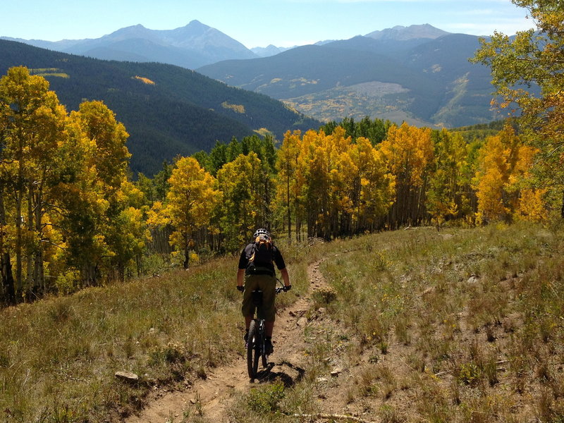 It's like a powder day on your bike!  Superb trail in superb aspens.