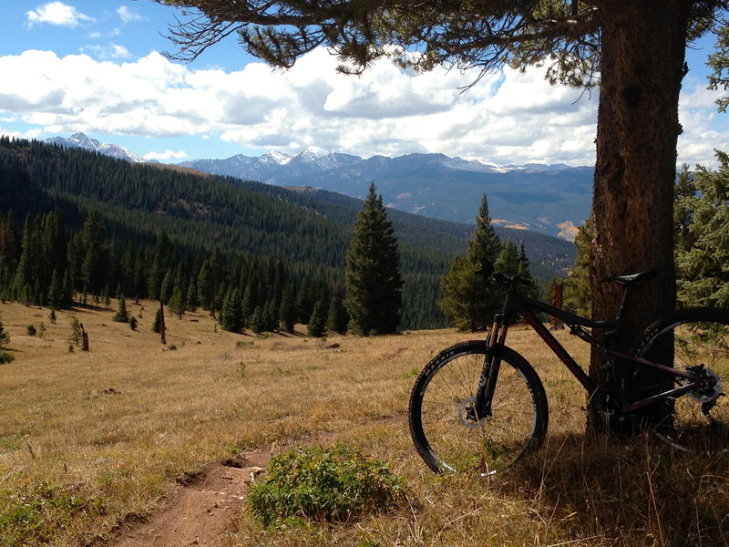 The upper part of the Two Elk trail is gorgeous and really easy.  It gets more technical as you get closer to Minturn.