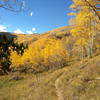 Welcome to Colorado singletrack!