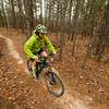 Pine forest on the backside of Baby Bear, one of the green loops on Coldwater Mountain