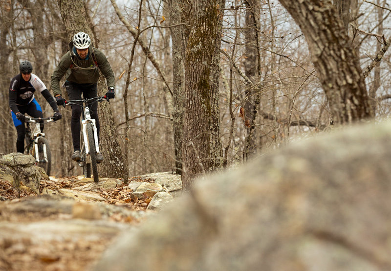 The green-blue option at the beginning of Baby Bear.  Right is easy and left (as seen here) takes riders over some big flagstone rocks