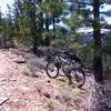 SawTooth. A fun little trail, a local favorite.
<br>
Truckee, Ca