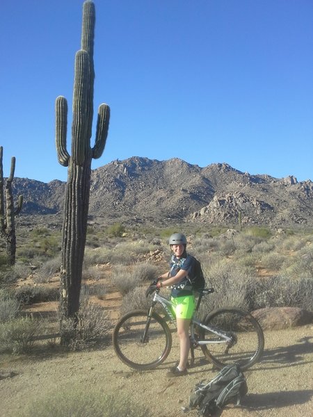 Looking West with Mcdowell Mtn Backdrop