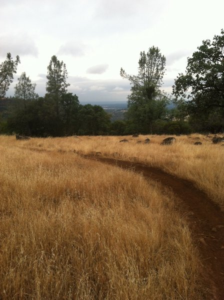 More of singletrack on Guardians Trail