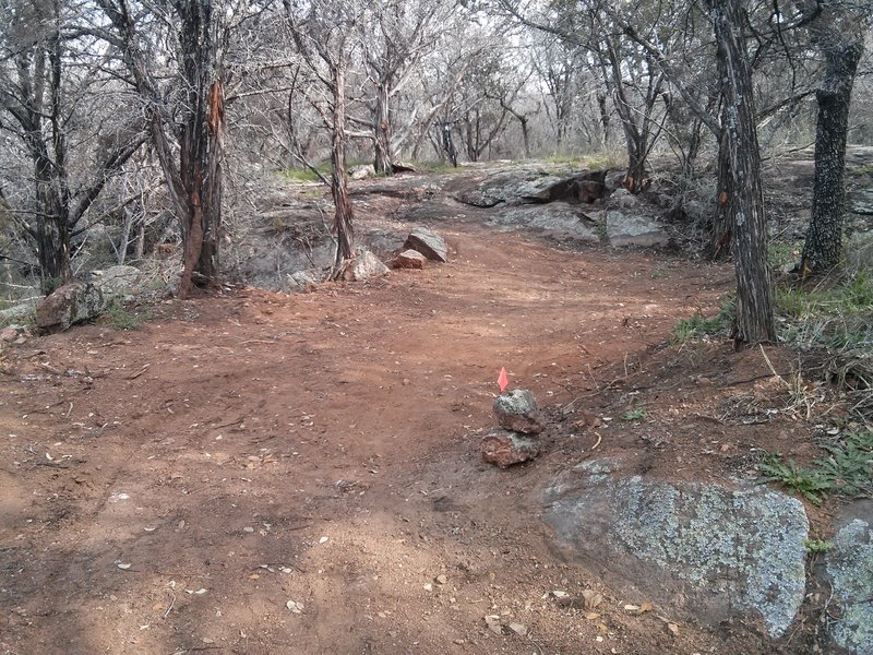 Fast and flowy with some grippy granite for good measure. Wildflowers and vegetation sure to turn this into tighter singletrack quickly.