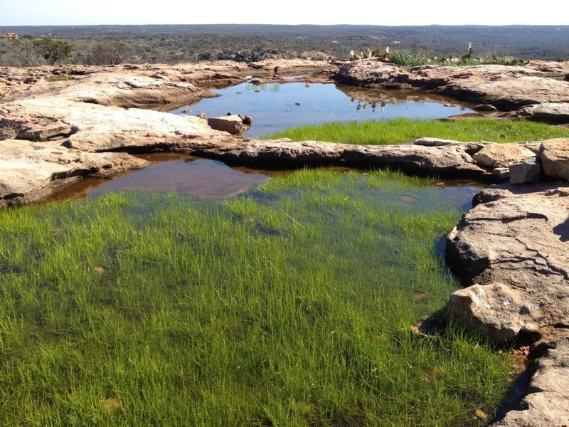 Water pools towards the top