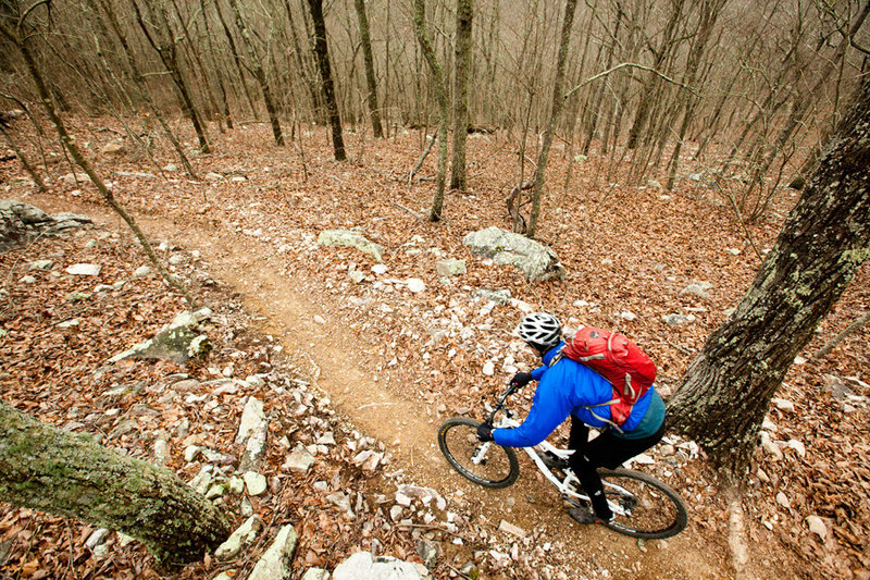 The fun is just starting atop the 2 mile descent on Bomb Dog