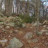 Civil War breastworks near the cell towers on Dug Gap.