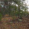 A welcoming smooth section of trail on Dug Gap.