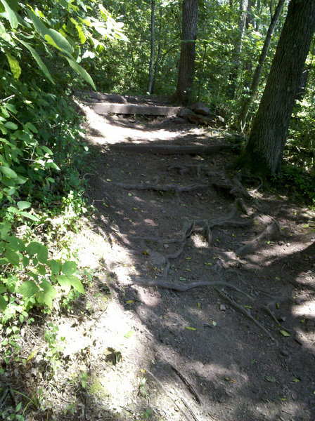 Some steps on the Red Trail