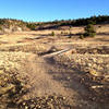 Heading out from the trailhead, the smooth wide trail awaits - much like most of the DIrty Bismarck surface.