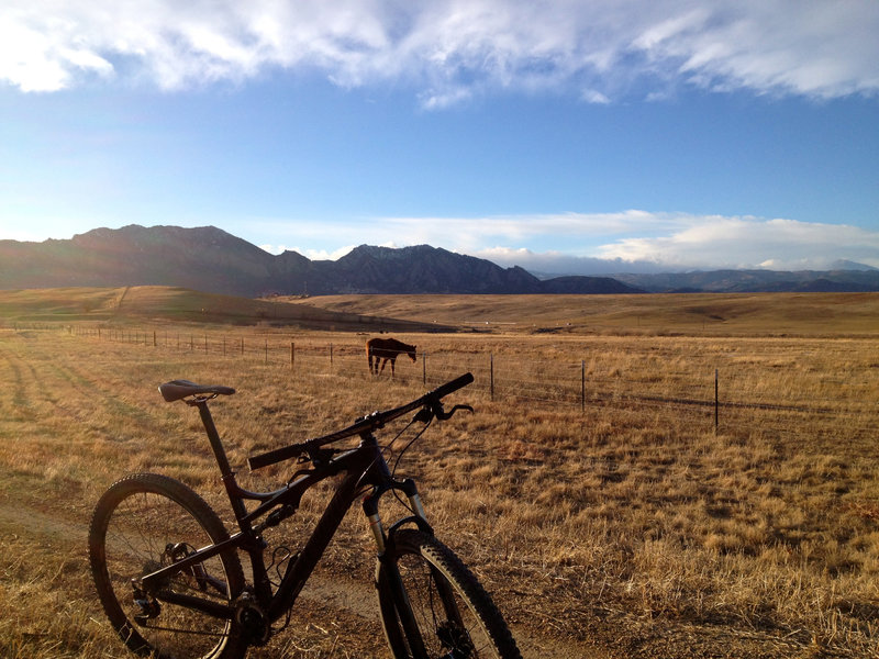 Open plains, horses, and cows combine with smooth singletrack to make this section of trail mellow and peaceful.