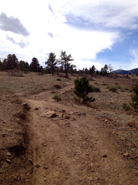 Smooth trail surface just east of Route 93.