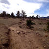 Smooth trail surface just east of Route 93.